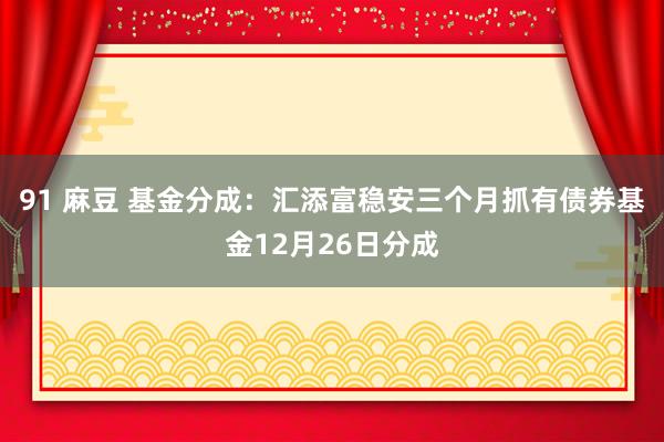 91 麻豆 基金分成：汇添富稳安三个月抓有债券基金12月26日分成