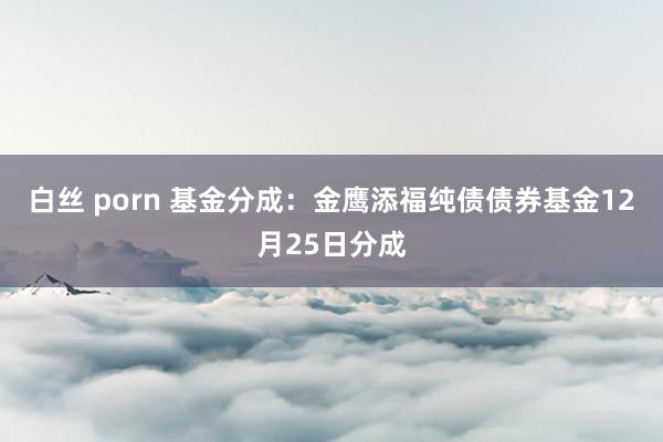 白丝 porn 基金分成：金鹰添福纯债债券基金12月25日分成