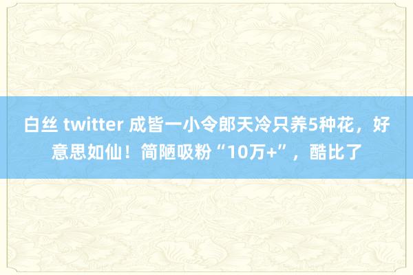 白丝 twitter 成皆一小令郎天冷只养5种花，好意思如仙！简陋吸粉“10万+”，酷比了