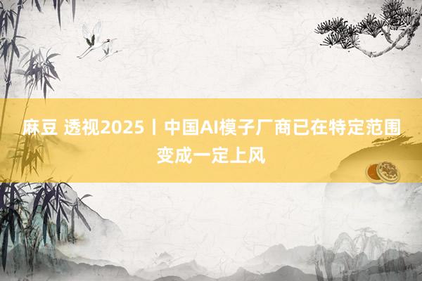 麻豆 透视2025丨中国AI模子厂商已在特定范围变成一定上风