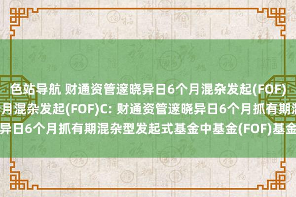 色站导航 财通资管邃晓异日6个月混杂发起(FOF)A，财通资管邃晓异日6个月混杂发起(FOF)C: 财通资管邃晓异日6个月抓有期混杂型发起式基金中基金(FOF)基金司理变更公告