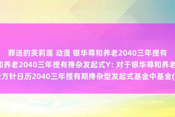 葬送的芙莉莲 动漫 银华尊和养老2040三年捏有搀杂发起式A，银华尊和养老2040三年捏有搀杂发起式Y: 对于银华尊和养老方针日历2040三年捏有期搀杂型发起式基金中基金(FOF)基金司理离任的公告