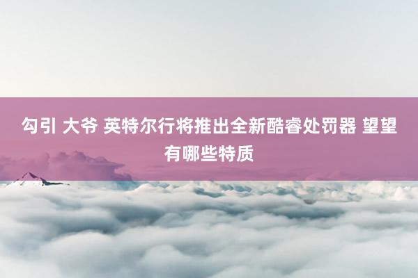 勾引 大爷 英特尔行将推出全新酷睿处罚器 望望有哪些特质