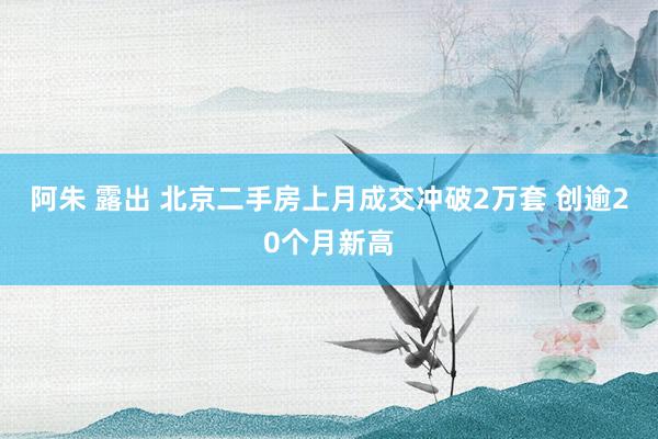 阿朱 露出 北京二手房上月成交冲破2万套 创逾20个月新高