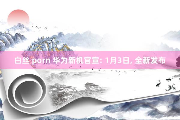 白丝 porn 华为新机官宣: 1月3日， 全新发布