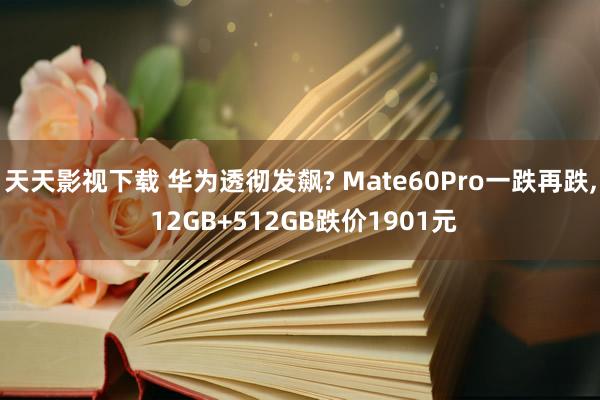 天天影视下载 华为透彻发飙? Mate60Pro一跌再跌， 12GB+512GB跌价1901元