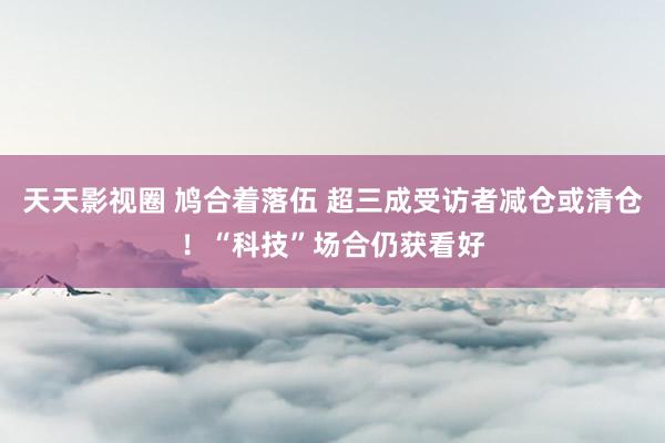 天天影视圈 鸠合着落伍 超三成受访者减仓或清仓！“科技”场合仍获看好