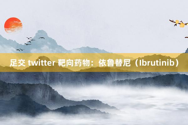 足交 twitter 靶向药物：依鲁替尼（Ibrutinib）