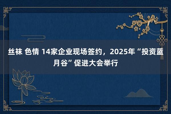 丝袜 色情 14家企业现场签约，2025年“投资蓝月谷”促进大会举行