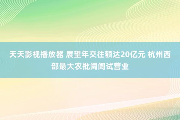 天天影视播放器 展望年交往额达20亿元 杭州西部最大农批阛阓试营业