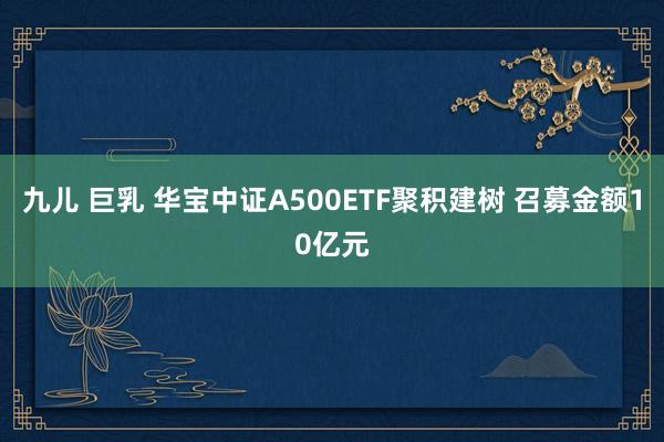 九儿 巨乳 华宝中证A500ETF聚积建树 召募金额10亿元