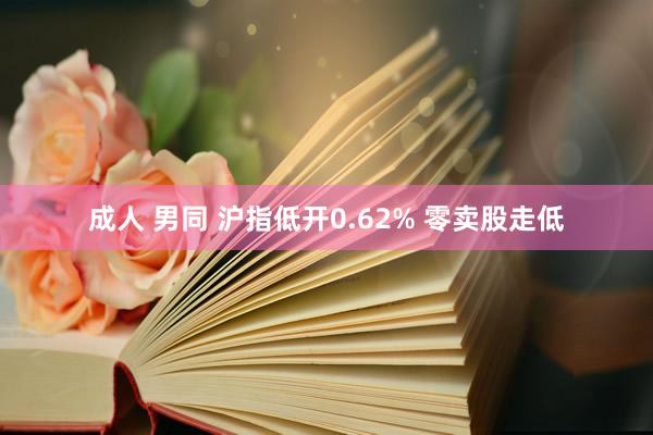 成人 男同 沪指低开0.62% 零卖股走低