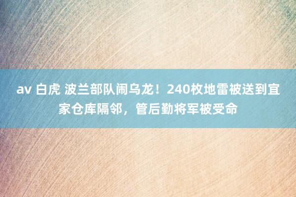 av 白虎 波兰部队闹乌龙！240枚地雷被送到宜家仓库隔邻，管后勤将军被受命