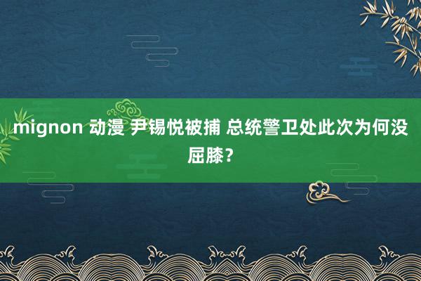 mignon 动漫 尹锡悦被捕 总统警卫处此次为何没屈膝？