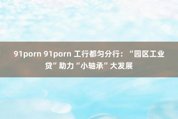 91porn 91porn 工行都匀分行：“园区工业贷”助力“小轴承”大发展