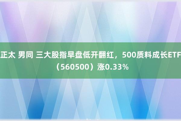 正太 男同 三大股指早盘低开翻红，500质料成长ETF（560500）涨0.33%