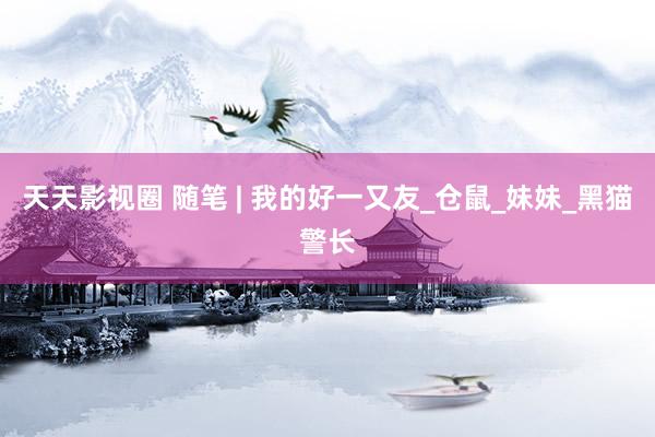 天天影视圈 随笔 | 我的好一又友_仓鼠_妹妹_黑猫警长
